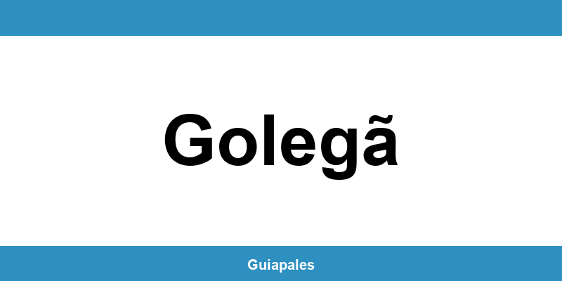 Contactos da Câmara Municipal de Golegã