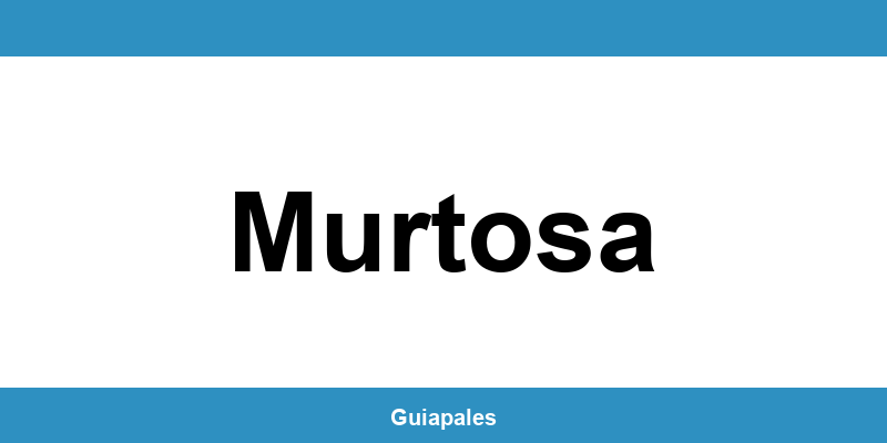 Contactos da Câmara Municipal de Murtosa