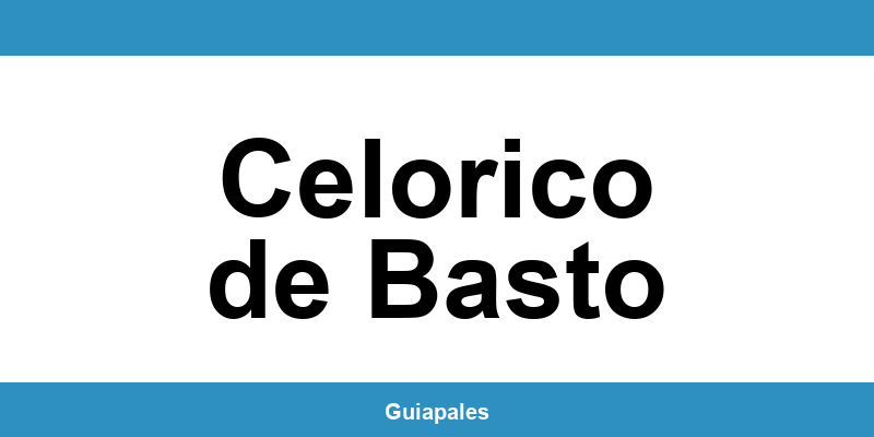 Contactos da Câmara Municipal de Celorico de Basto