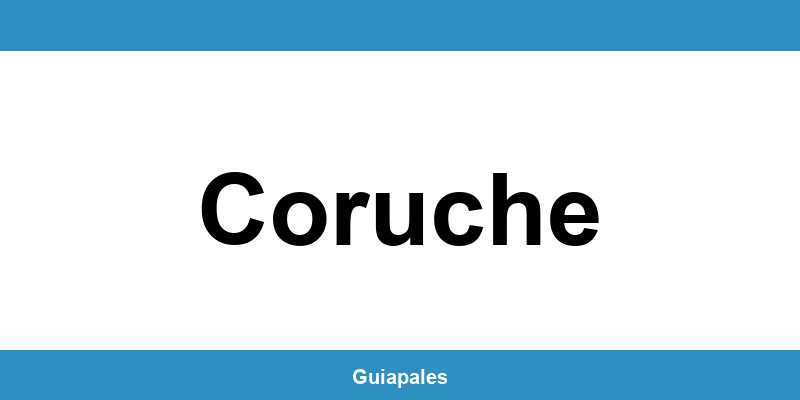 Contactos da Câmara Municipal de Coruche