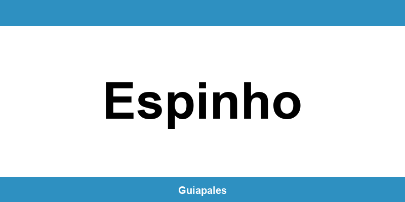 Contactos da Câmara Municipal de Espinho