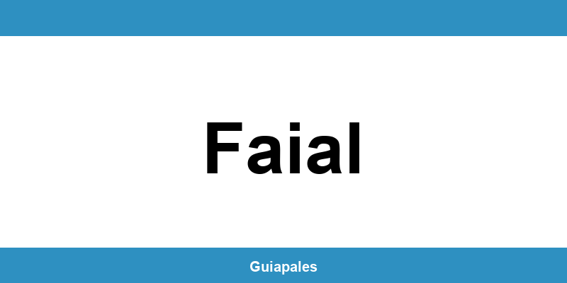 Contactos da Câmara Municipal de Faial