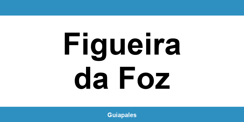 Contactos da Câmara Municipal de Figueira da Foz