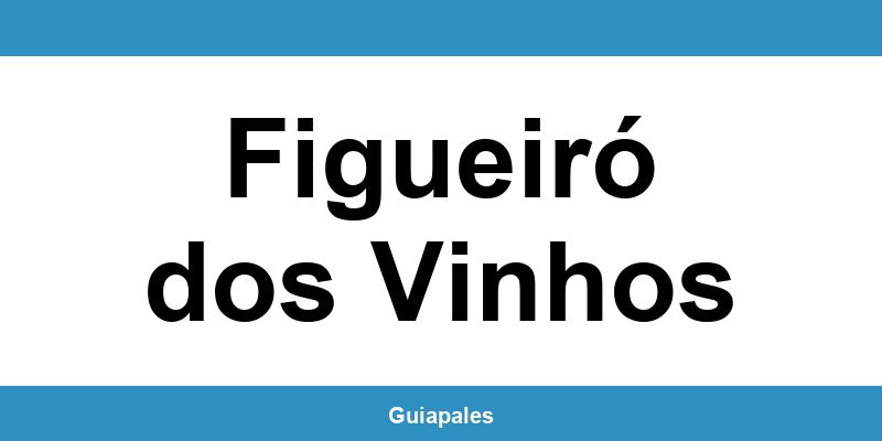 Contactos da Câmara Municipal de Figueiró dos Vinhos