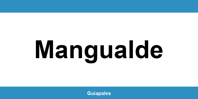 Contactos da Câmara Municipal de Mangualde