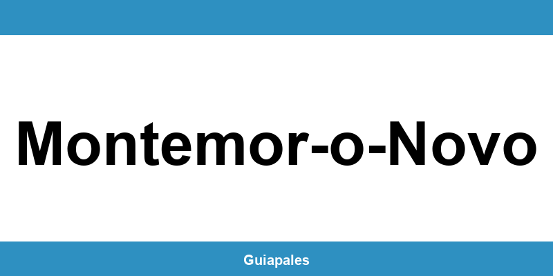 Contactos da Câmara Municipal de Montemor-o-Novo