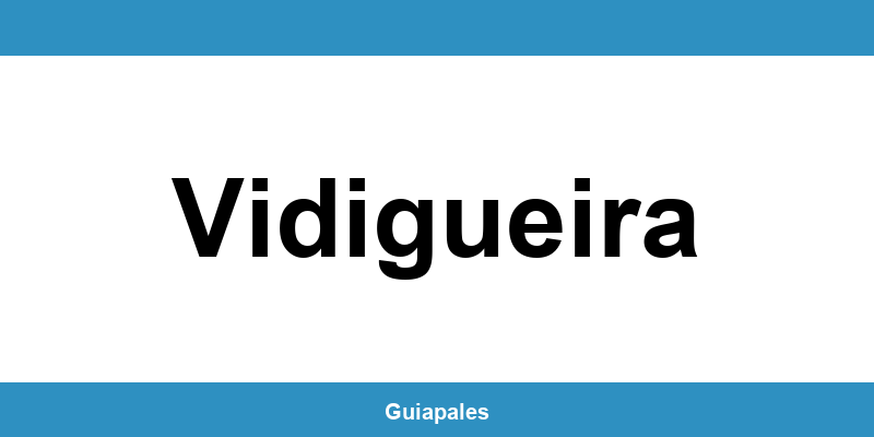 Contactos da Câmara Municipal de Vidigueira