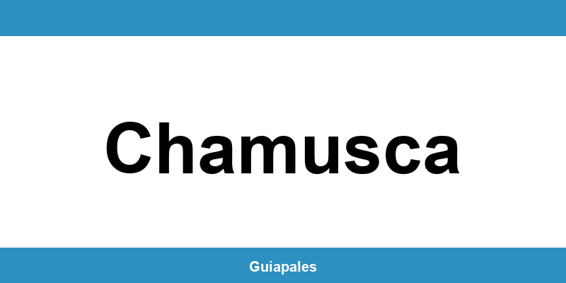 Contactos da Câmara Municipal de Chamusca