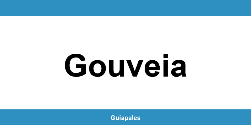 Contactos da Câmara Municipal de Gouveia