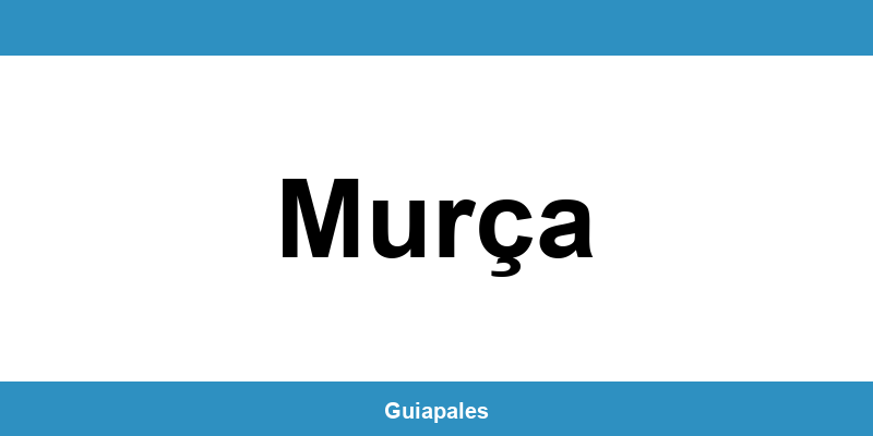 Contactos da Câmara Municipal de Murça
