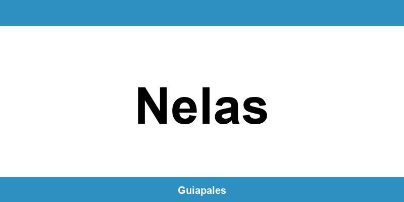 Contactos da Câmara Municipal de Nelas