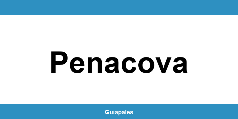Contactos da Câmara Municipal de Penacova