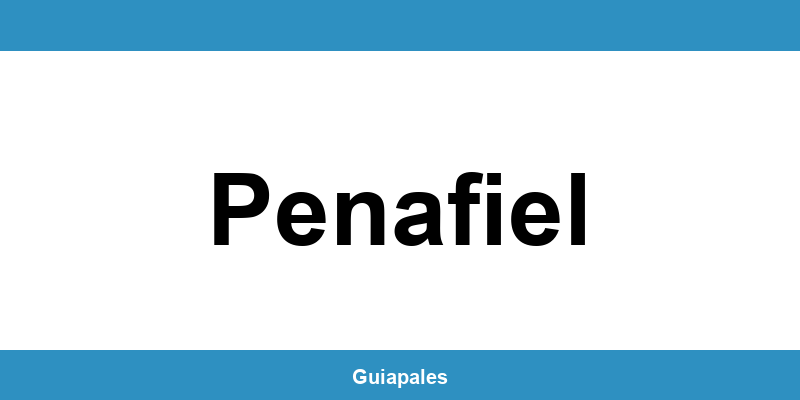 Contactos da Câmara Municipal de Penafiel