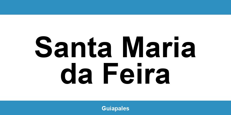 Contactos da Câmara Municipal de Santa Maria da Feira
