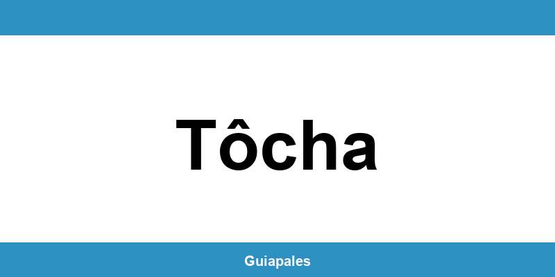 Contactos da Câmara Municipal de Tôcha