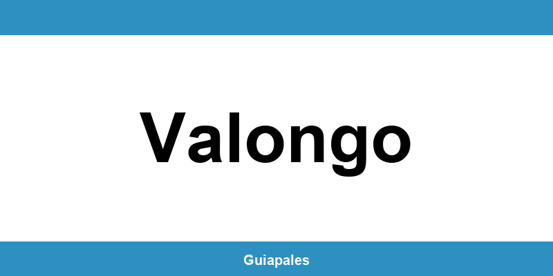 Contactos da Câmara Municipal de Valongo